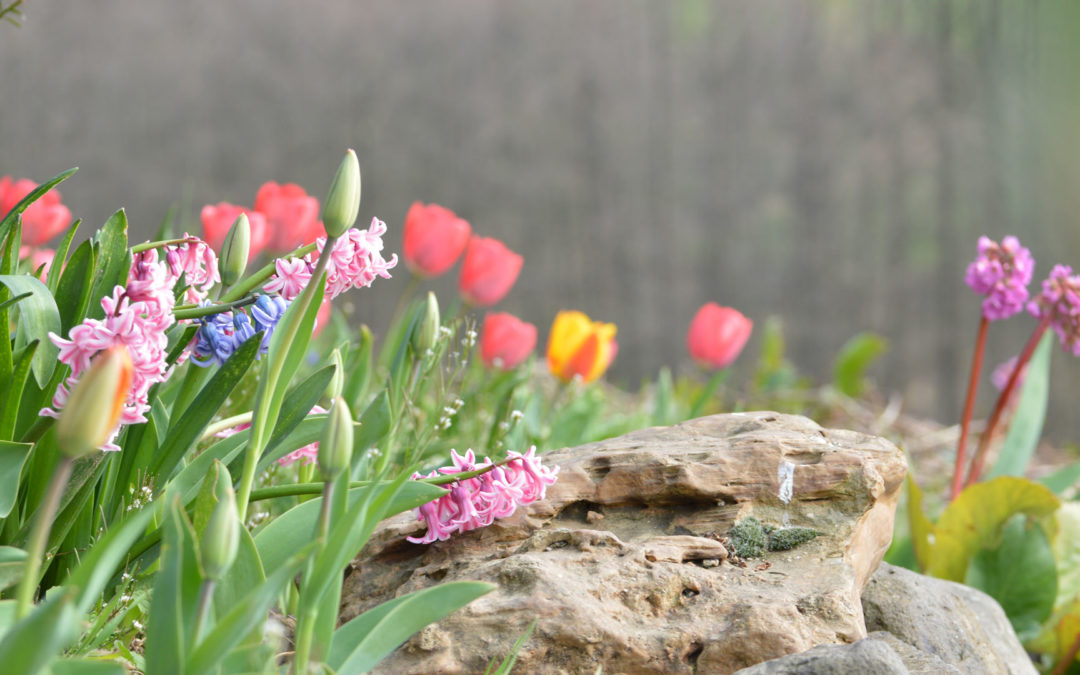 Eine Reise durch die Jahreszeiten mit unserem Sinnesgarten