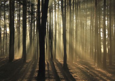 Glaube und Spiritualität – kraftvolle und substantielle Ressource zur Förderung von Menschen in krisenhaften Lebenssituationen